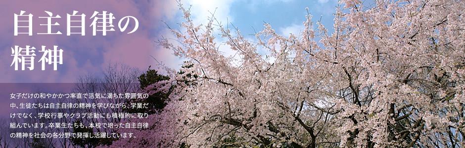 bob最佳拍档会员登录
